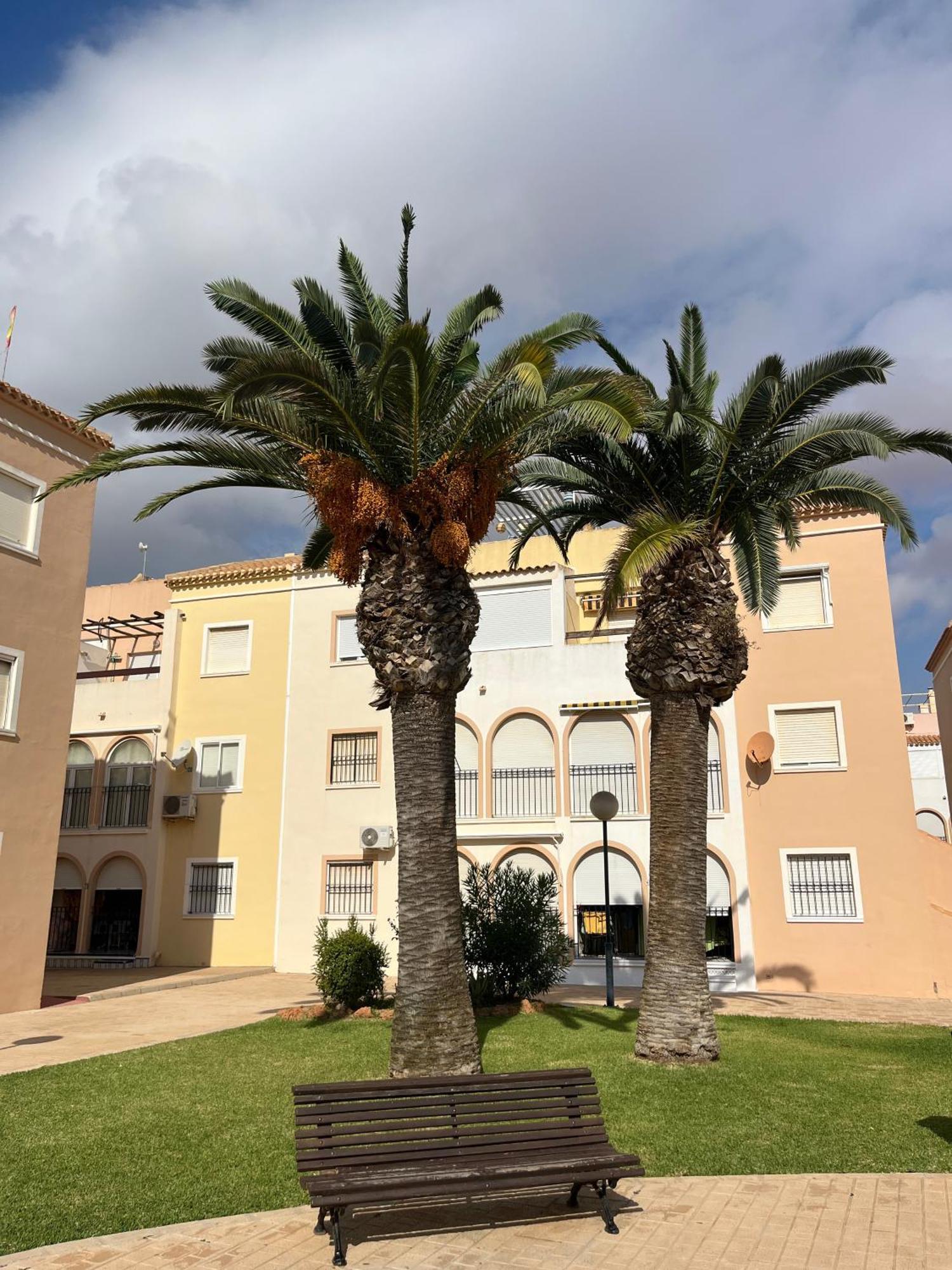 Torrevieja 2 Bedrooms Appartment Екстериор снимка